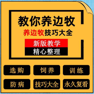 边牧训练方法教程边境牧羊犬驯养技术饲养喂养选购训犬技巧大全套淘宝虚拟货源,虚拟产品,虚拟资源,虚拟电商,淘宝虚拟类目,自动发货货源淘宝虚拟货源网