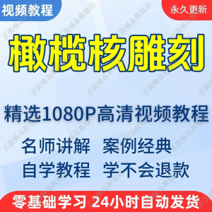 橄榄核雕刻视频学习教程新手自学零基础入门精通教学课程全集淘宝虚拟货源,虚拟产品,虚拟资源,虚拟电商,淘宝虚拟类目,自动发货货源淘宝虚拟货源网