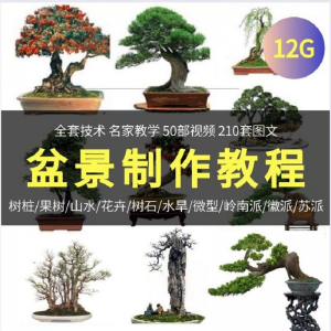 盆景制作技术视频教程工艺教学果树桩山水微型造型全套淘宝虚拟货源,虚拟产品,虚拟资源,虚拟电商,淘宝虚拟类目,自动发货货源淘宝虚拟货源网