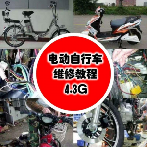 学电动车维修技术电动自行车维修技术电瓶修复技巧视频教程教学淘宝虚拟货源,虚拟产品,虚拟资源,虚拟电商,淘宝虚拟类目,自动发货货源淘宝虚拟货源网