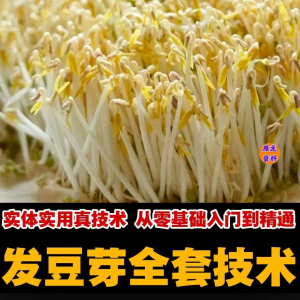 自学发豆芽技术资料豆芽加工制作方法教学 培育豆芽商用视频教程淘宝虚拟货源,虚拟产品,虚拟资源,虚拟电商,淘宝虚拟类目,自动发货货源淘宝虚拟货源网
