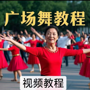 中老年广场舞视频下载高清视频教学打包MP4 MP3背面动作分解教程淘宝虚拟货源,虚拟产品,虚拟资源,虚拟电商,淘宝虚拟类目,自动发货货源淘宝虚拟货源网