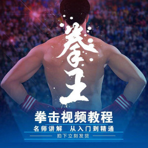 拳击教学视频 自学教程 训练零基础运动入门健身搏击格斗武术课程淘宝虚拟货源,虚拟产品,虚拟资源,虚拟电商,淘宝虚拟类目,自动发货货源淘宝虚拟货源网