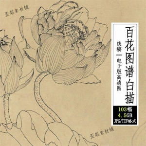 百花图谱白描线稿图集 国画花卉植103幅tif格式3.6G高清图片素材淘宝虚拟货源,虚拟产品,虚拟资源,虚拟电商,淘宝虚拟类目,自动发货货源淘宝虚拟货源网
