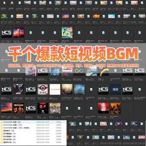 千个爆款短视频BGM背景音乐小红书抖音快手热门VLOG音乐影视解说淘宝虚拟货源,虚拟产品,虚拟资源,虚拟电商,淘宝虚拟类目,自动发货货源淘宝虚拟货源网