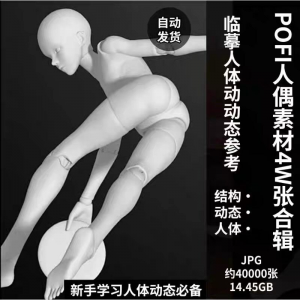 pofi无限人偶4W截图绘画素材pofi无线人偶人体动态学习素材临摹淘宝虚拟货源,虚拟产品,虚拟资源,虚拟电商,淘宝虚拟类目,自动发货货源淘宝虚拟货源网
