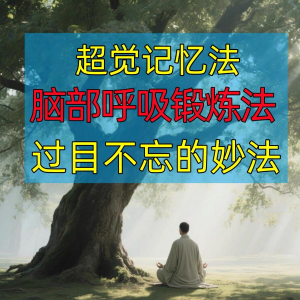 过目不忘修炼记忆力脑部呼吸锻炼法改造大脑健身气功养生训练方法淘宝虚拟货源,虚拟产品,虚拟资源,虚拟电商,淘宝虚拟类目,自动发货货源淘宝虚拟货源网
