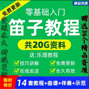 零基础笛子教程自学入门进阶视频初学者教学成人儿童学竹笛教材全淘宝虚拟货源,虚拟产品,虚拟资源,虚拟电商,淘宝虚拟类目,自动发货货源淘宝虚拟货源网