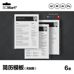 6套高级英文简历Word简历 ai psd设计师简历模板毕业生简历CV29淘宝虚拟货源,虚拟产品,虚拟资源,虚拟电商,淘宝虚拟类目,自动发货货源淘宝虚拟货源网
