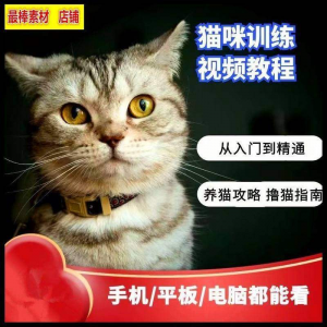 猫咪训练+养猫攻略大全技巧秘诀自学教程课程视频淘宝虚拟货源,虚拟产品,虚拟资源,虚拟电商,淘宝虚拟类目,自动发货货源淘宝虚拟货源网